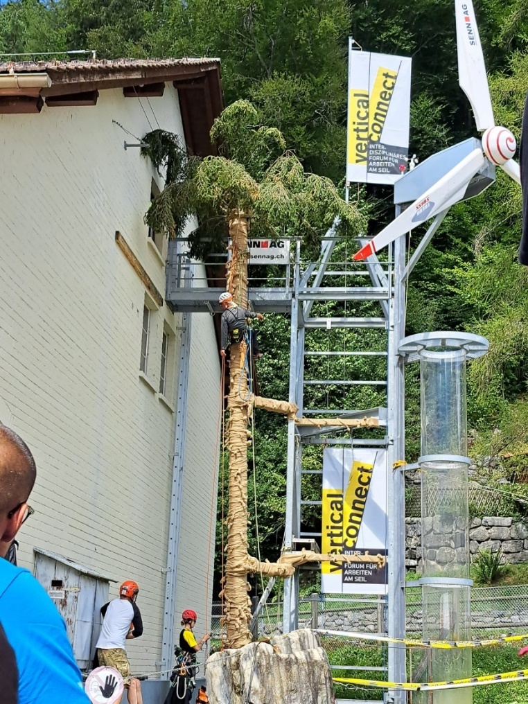 metin, ağaç, dış mekan, kişi, taşıdığı bir resim Açıklama otomatik olarak yer alır